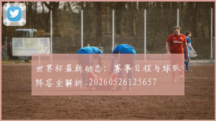 世界杯最新动态：赛事日程与球队阵容全解析_20260526125657