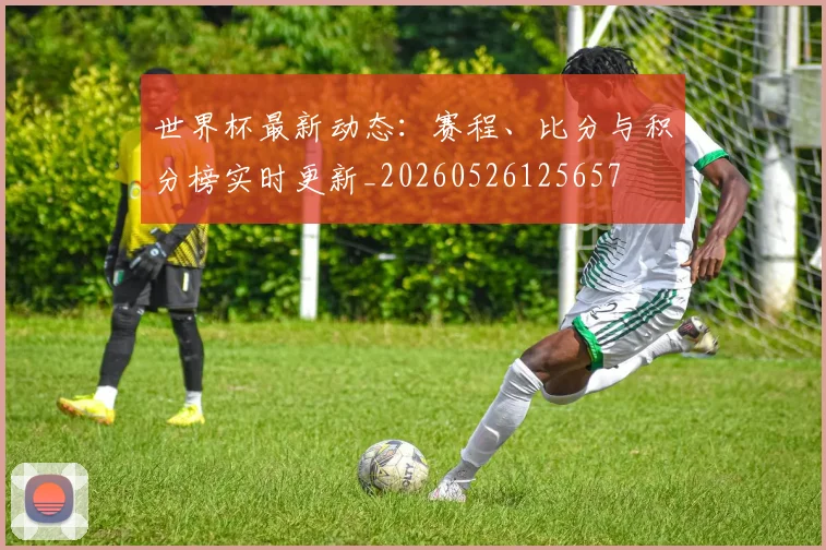 世界杯最新动态：赛程、比分与积分榜实时更新_20260526125657